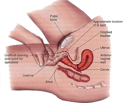 G noktası masajı nedir, nasıl yapılır. G point masajı.